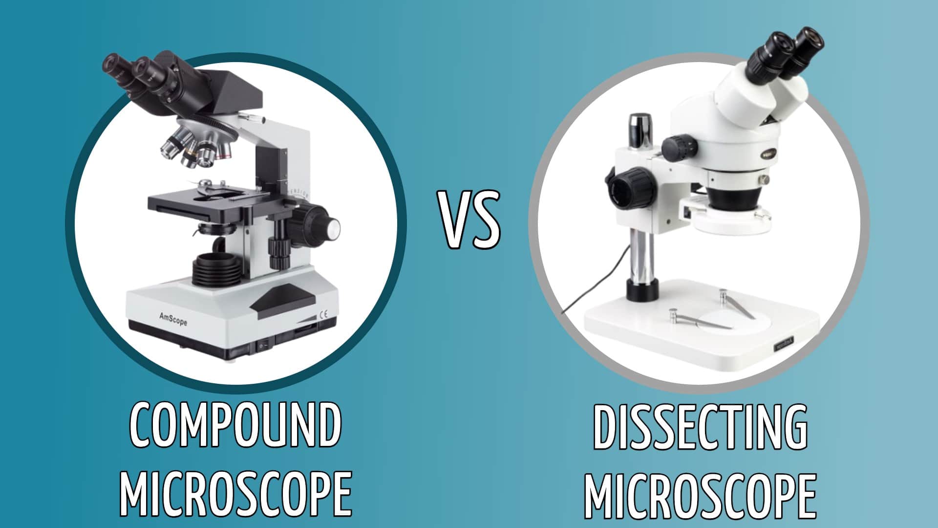 میکروسکوپ تشریحی در مقایسه با میکروسکوپ ترکیبی 