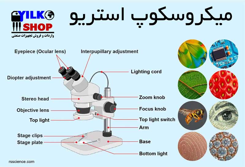 میکروسکوپ استریو چیست